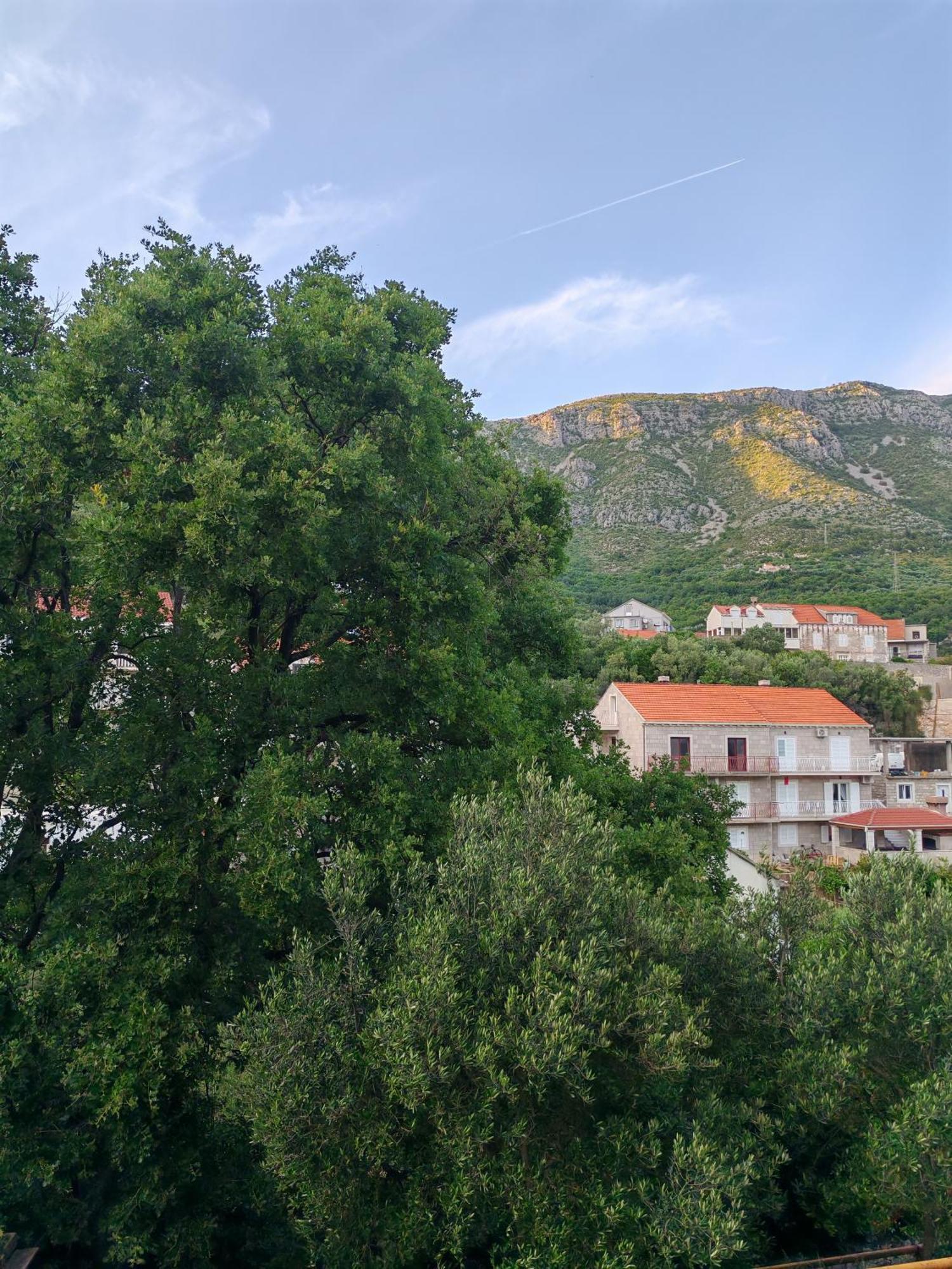 Apartment Oscar Mokošica Zimmer foto
